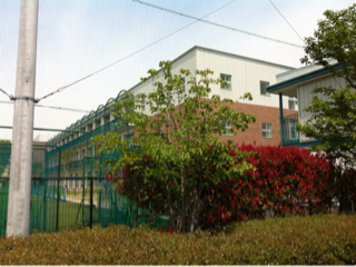 image-20130511235311.png