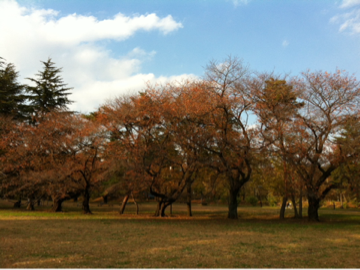 image-20131127013741.png