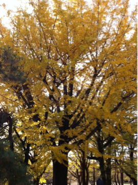 image-20131127014104.png